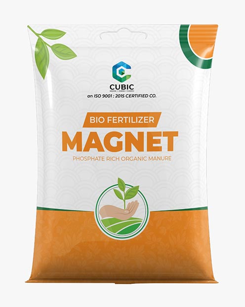 Cubic Magnet