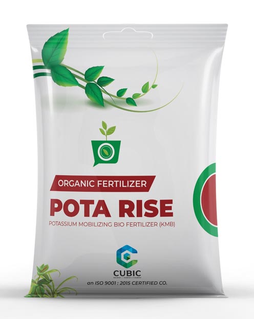 Cubic Pota Rice