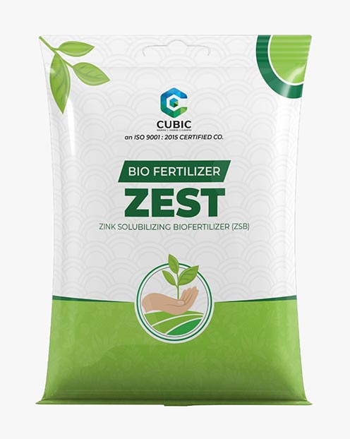 Cubic Zest