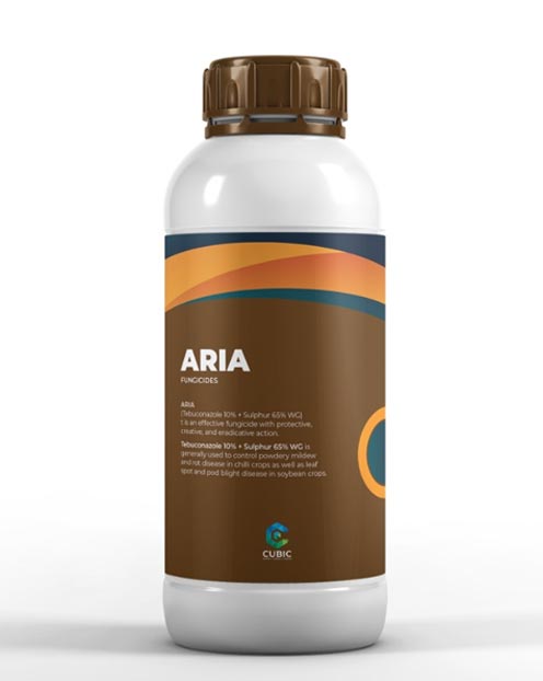 Aria