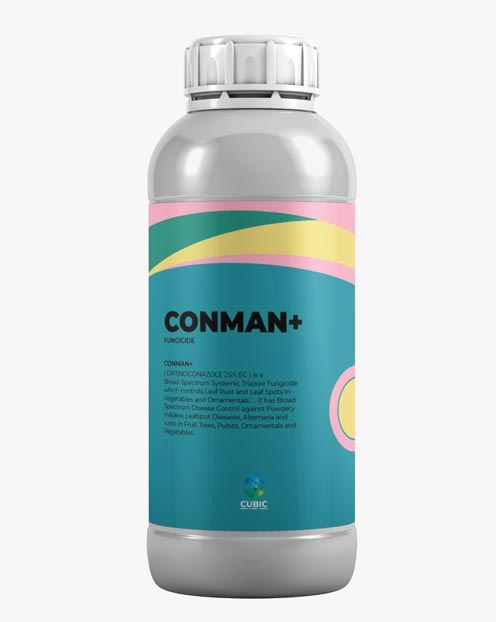 Conman +
