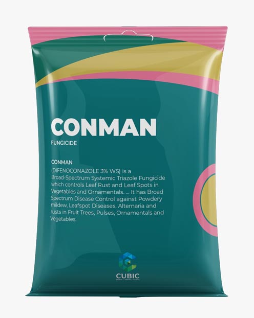 Conman