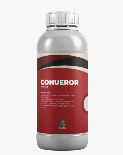Conqueror