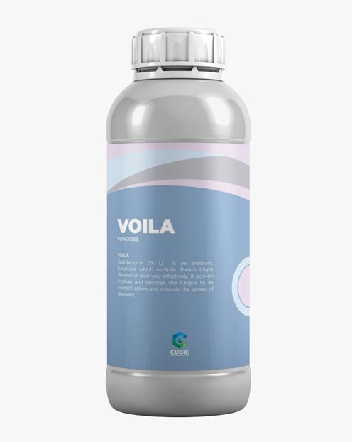 Voila