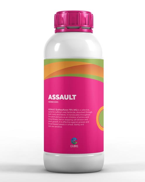 Assault