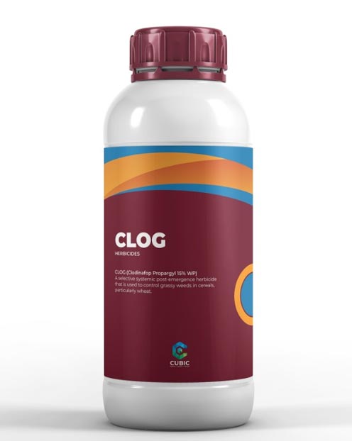 Clog