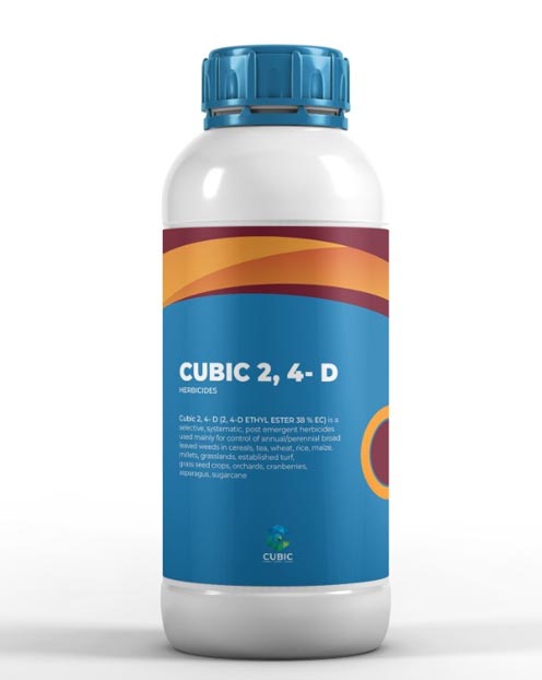 Cubic 2, 4-D