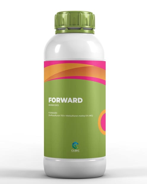 Forward