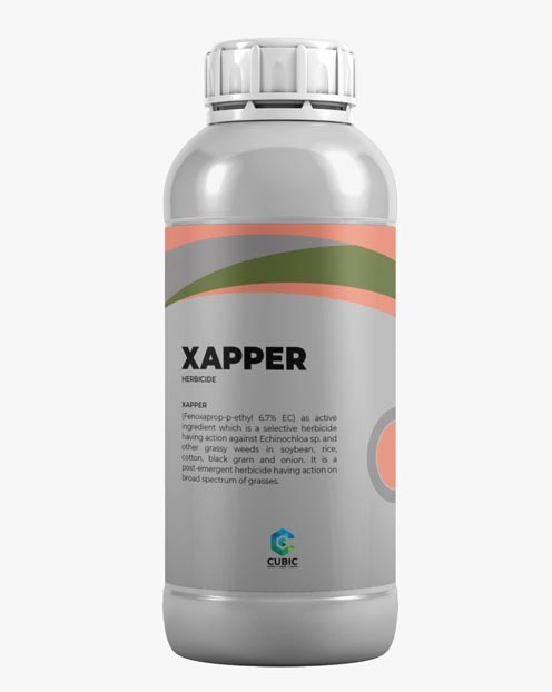 Xapper