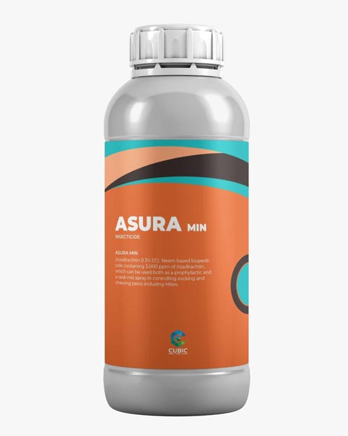 Asura Min