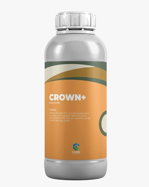 Crown +