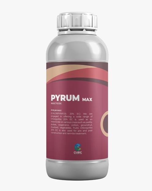 Pyrum Max